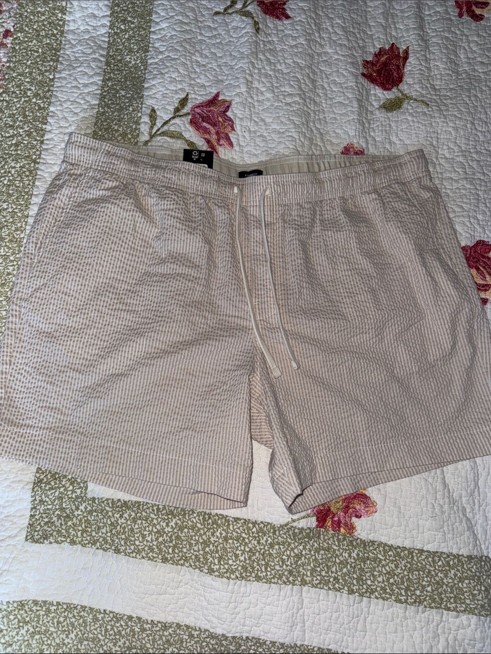 NWT Express Men's Light Beige Seersucker Shorts